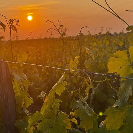 Ferienhaus Topette, A Tantot...